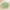 Medium Green Prehnite Bead