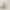Light Aqua Hetian Jade Bead