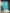 Amazonite Bead
