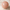 Light Peach Sunstone Bead